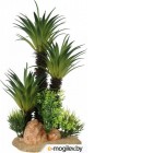    Aqua Della Sago Palm / 234/448823