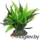    Lucky Reptile Fern / IF-101