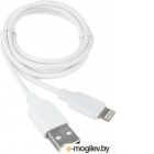  Cablexpert  Apple CCB-USB-AMAPO2-1MW, AM/Lightning,  Classic 0.2,  1, , 